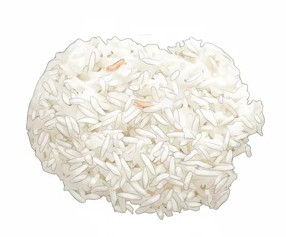 steamed rice