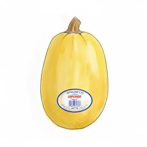 spaghetti squash
