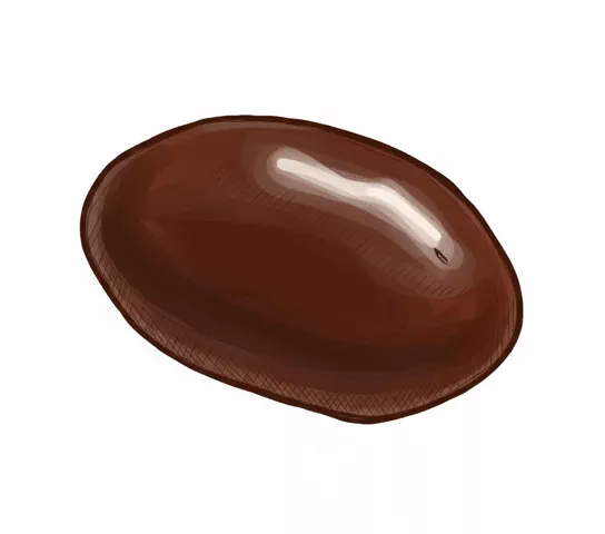 chocolate covered peanuts