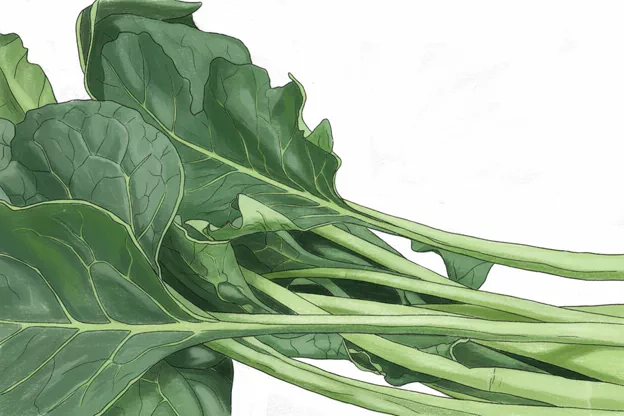 raw spinach