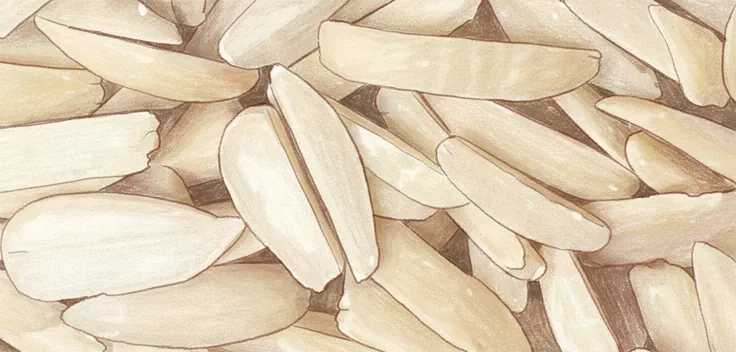 slivered almonds