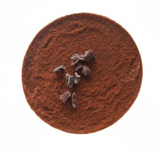 cocoa powder