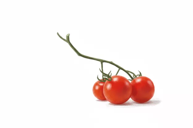 cherry tomato