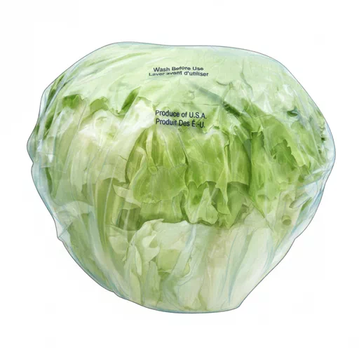iceberg lettuce