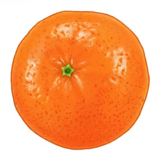 clementine