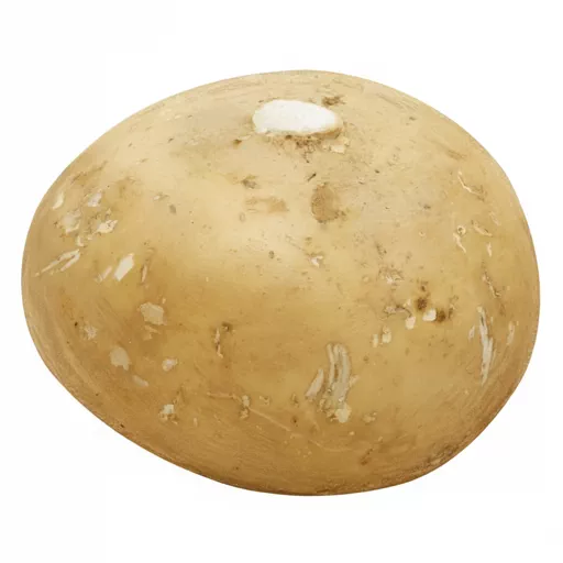 jicama
