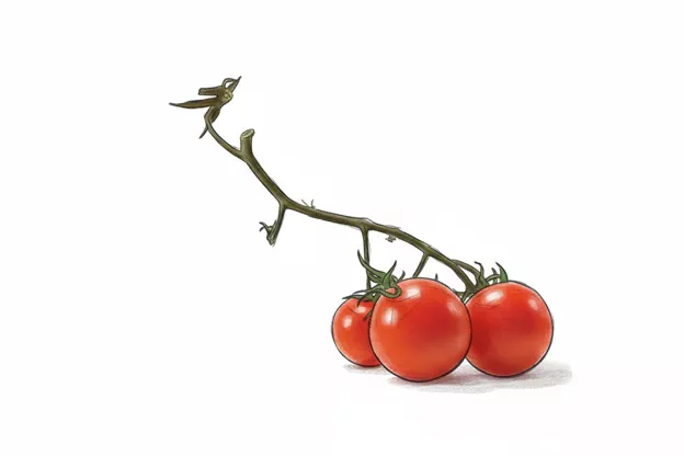 cherry tomatoe