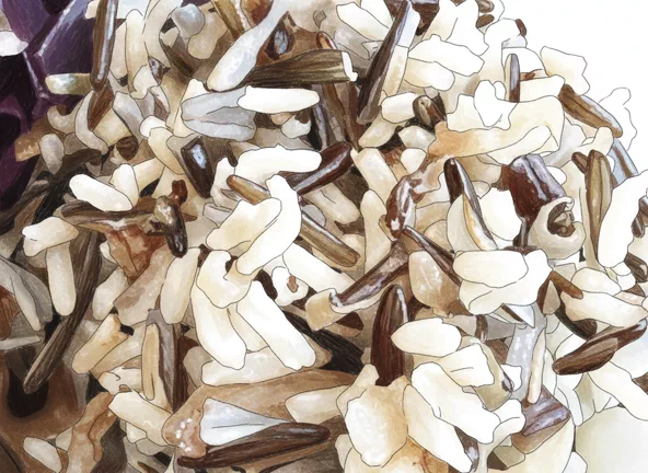 wild rice