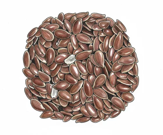 flax seeds