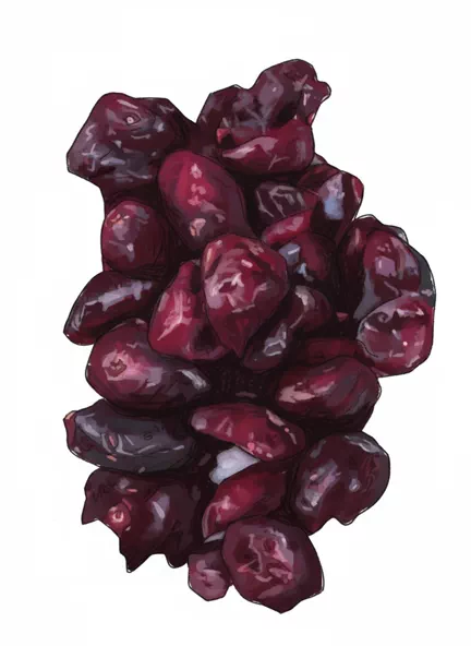 dried cranberries