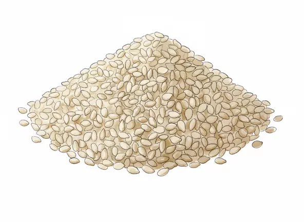 sesame seeds