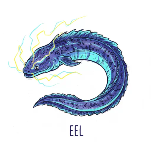 eel