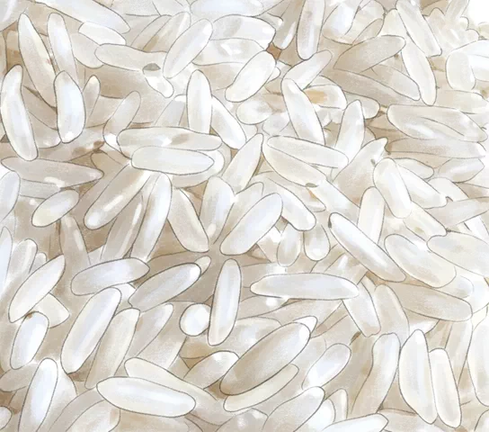 uncooked rice