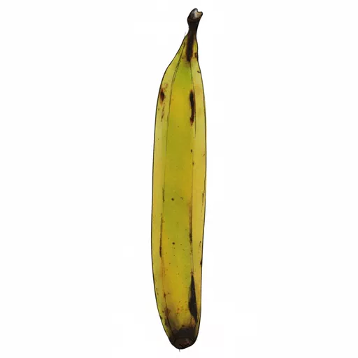 yellow plantain