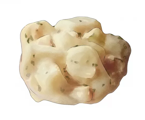 clam chowder