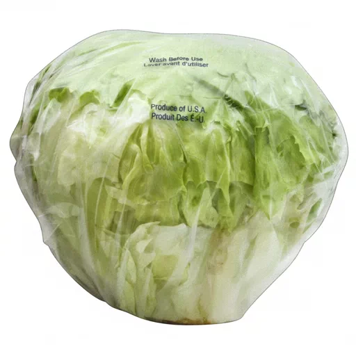 iceberg lettuce leafs