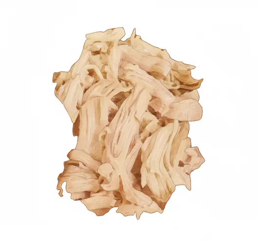 shredded chicken