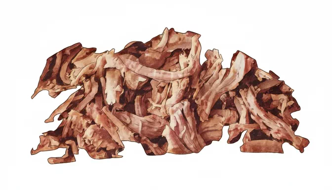 shredded beef