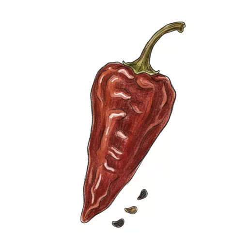 ancho chili pepper