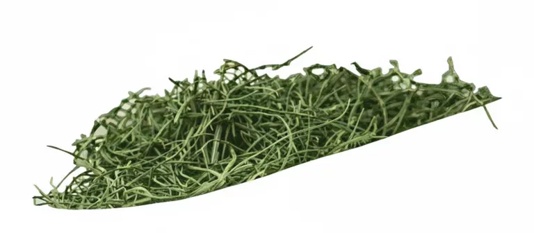 dried rosemary
