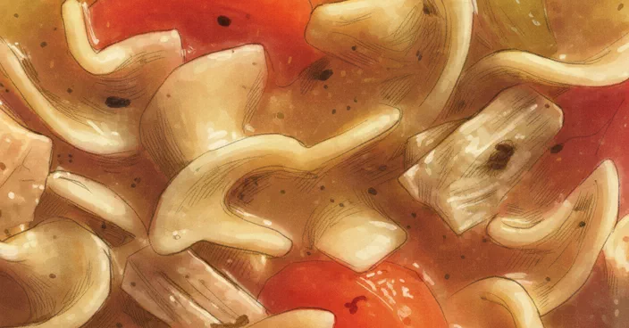 chicken noodle soup