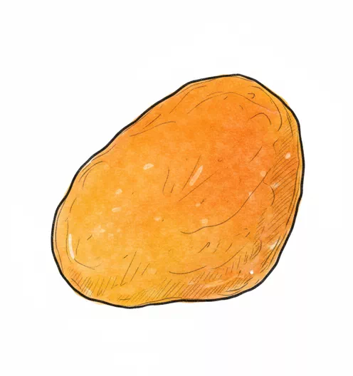 dried apricot