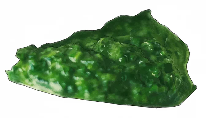 spinach cooked