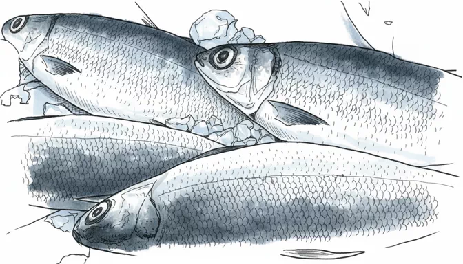 milkfish