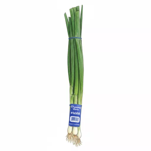 scallions