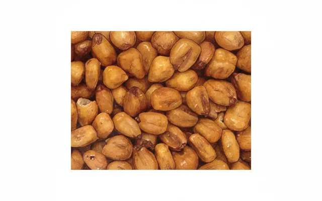 corn nuts