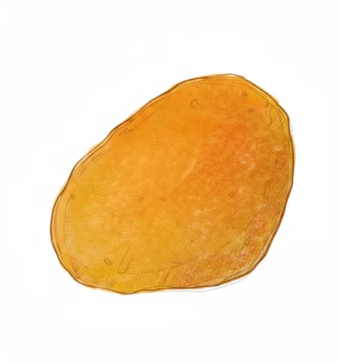 dried apricots