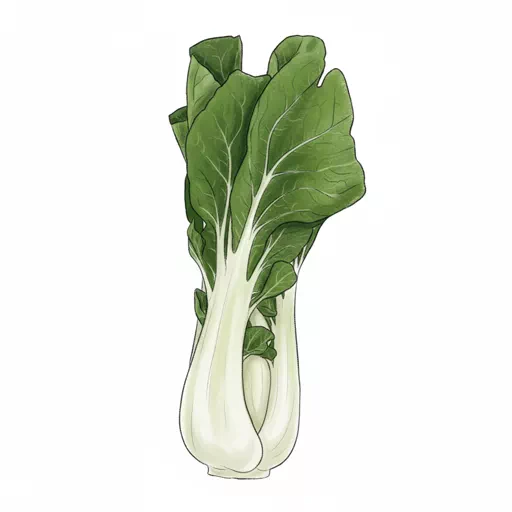 bok choy