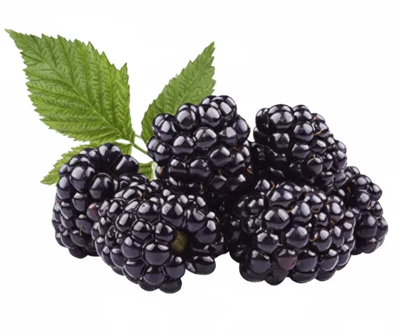 blackberries