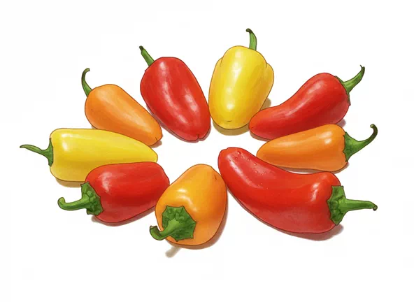 sweet mini peppers
