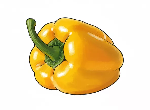 yellow pepper