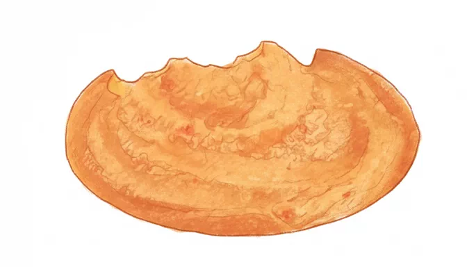 red pepper hummus