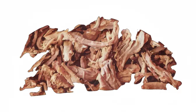 shredded pork