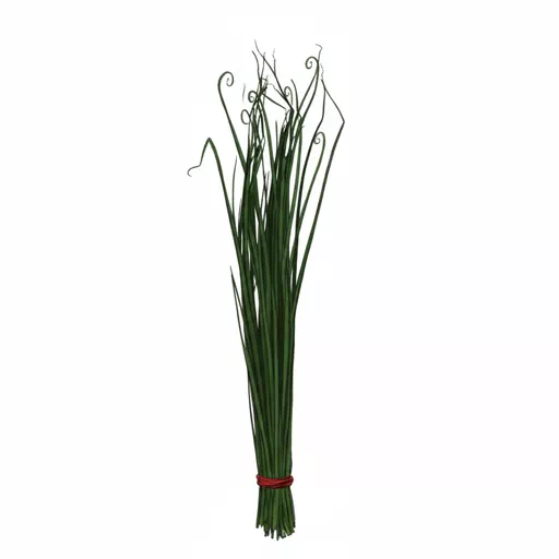 chives