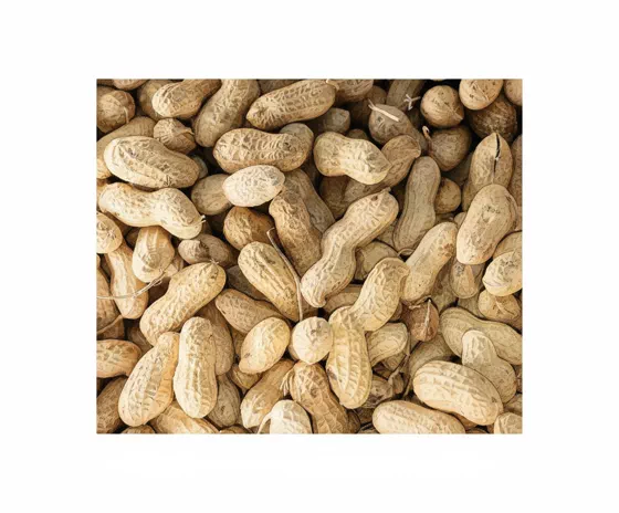 salted peanuts