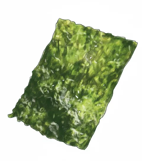 dried seaweed