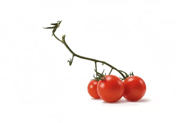 cherry tomatoes