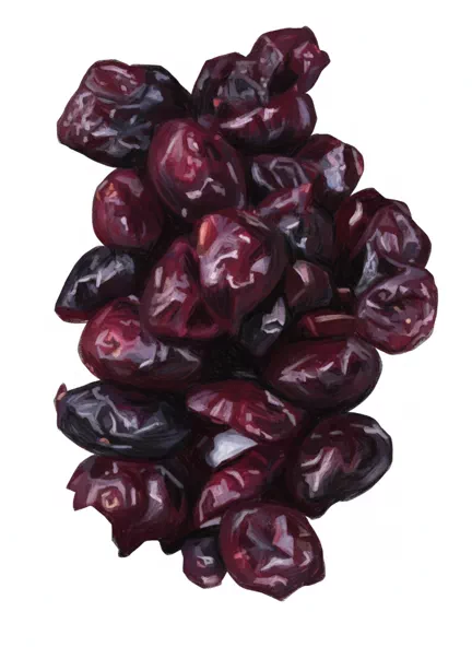 raisin