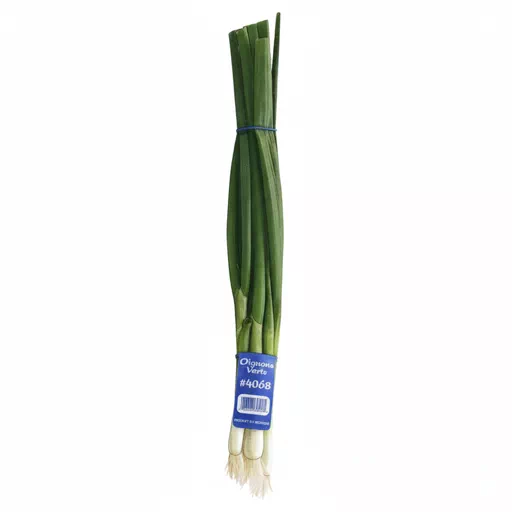spring onion