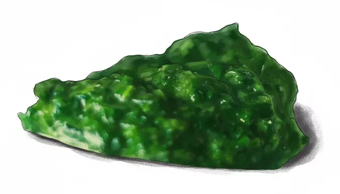 cooked spinach