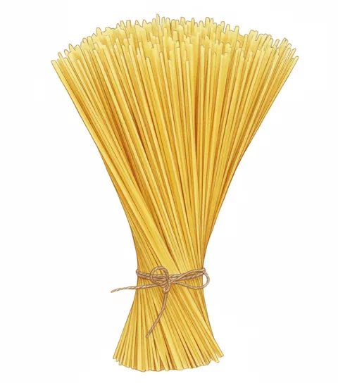 spaghetti noodles