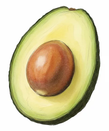 organic hass avocado
