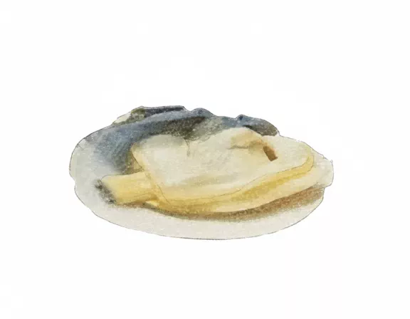 clams