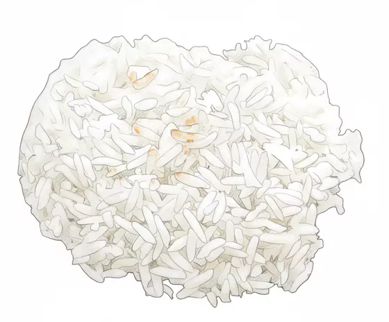 sushi rice