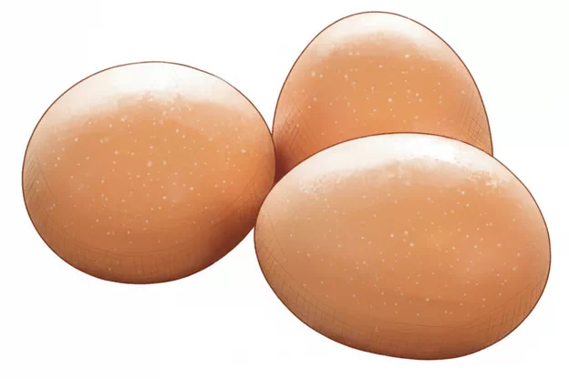 eggs