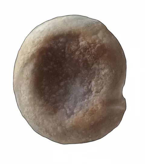 ww english muffin
